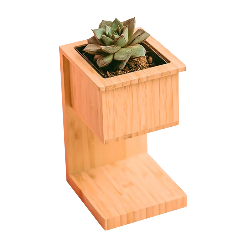 Alder Wireless Charger with Planter