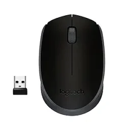 Wireless Mouse